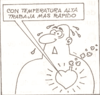 Imagen ilustrativa. Trabajo del corazón ante altas temperaturas